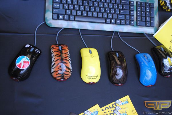 � ��� ����� �������� ����� � ����� ��������