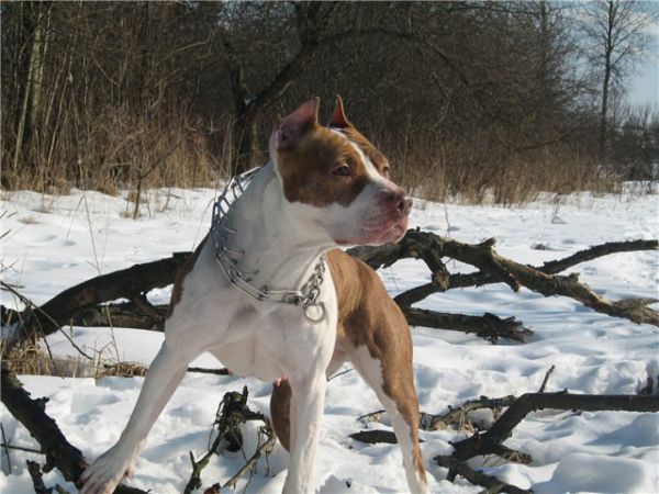 [�� �������]